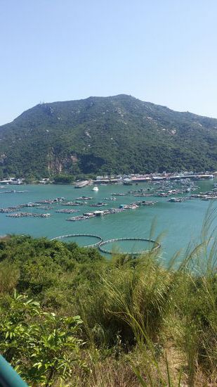 Da unten ist es  -  die Fischrestaurants von Lamma warten auf uns!