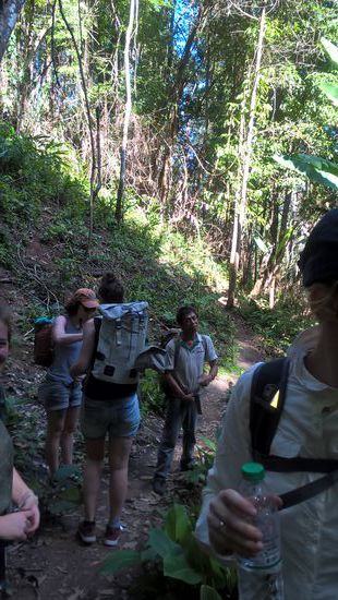 Erste Pause im Urwald