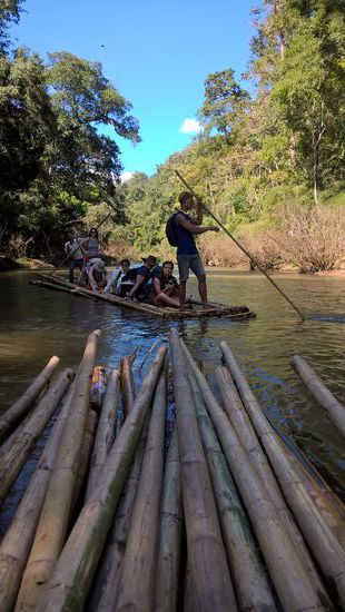 Mit unseren halbfertigen Floß fahren wir ca.1Stunde bis zum nächsten Halt, einem Elefanten Camp wo wir eine Mittagspause einlegen.
Wieder werden wir von unseren Guide's gut verköstig.