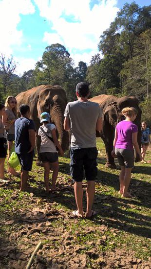 Spiel mit den Elefanten.
