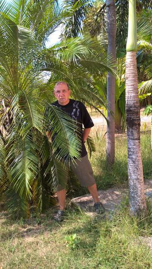 Hartmut in seiner Plantage.