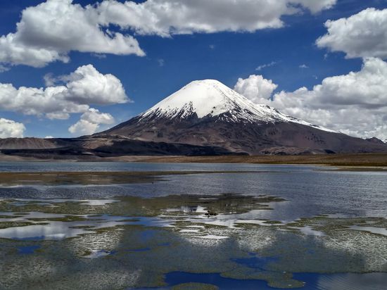 Parque National Lauca: Lago Chungara (4517 m) und Vulkan Parincota (6350 m).
