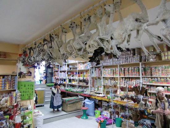 Der Hexenmarkt. Hier gibt es jedes legale und illegale Pülverchen. Oben an der Decke hängen neugeborene Lamas. Werden getötet und getrocknet. Wird als Opfergabe verwendet für Hauseinweihung, Glück im Beruf und solche Sachen. Rechts ist Gert, der hat uns alles erklärt.