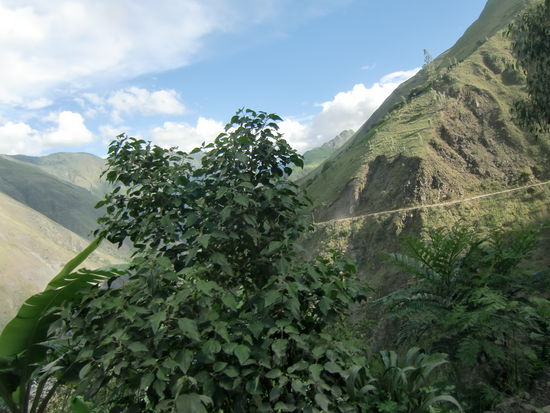 Unsere Todesstraße (weiße Linie), es ging hunderte Meter in den Abgrund.