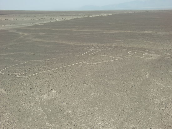 Figur Hände (oder Frosch), die Wissenschaftler sind sich nicht einig.