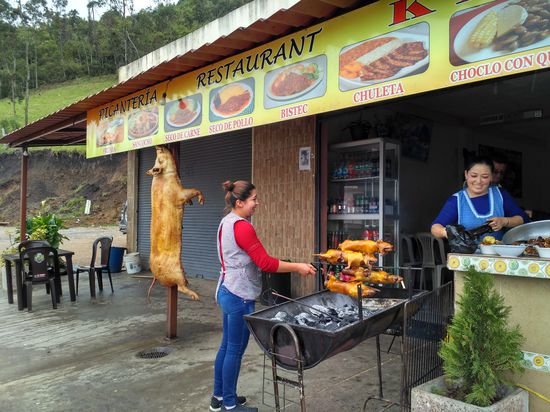 Vier Meerschweinchen (Cuy) am Drehspieß.