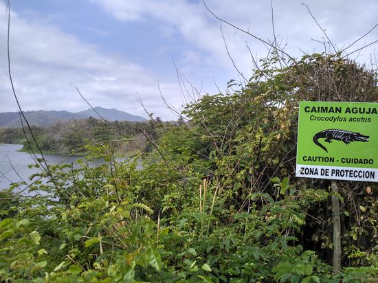 Auch im Crystal River, der ins Meer mündete, war Baden auf eigene Gefahr.