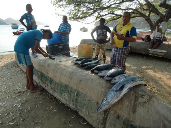 Taganga, eigentlich ein Fischerdorf.