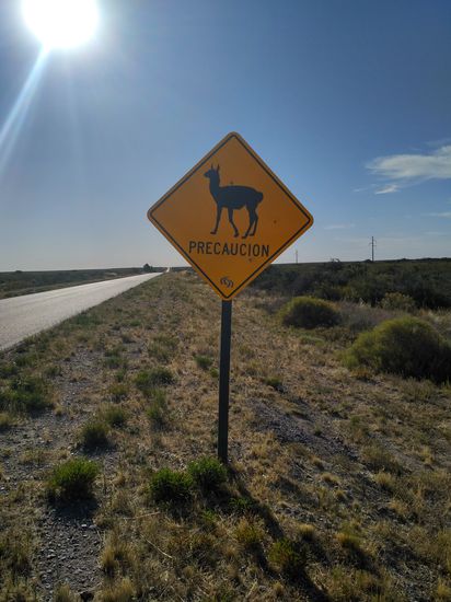 Die Straße schnurgerade bis zum Horizont. Tagelang geht das so. Guanakos haben wir noch keine gesehen.