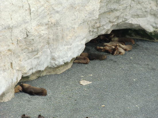 Ein bißchen gezoomt