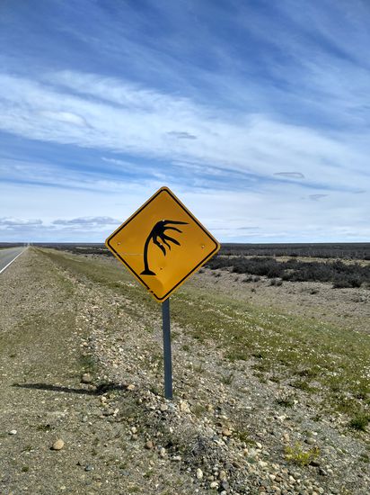 Hier gibt es auch Verkehrsschilder, die sieht man sonst nirgends. Warnung vor dem patagonischen Wind.