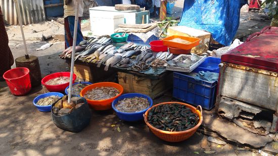 Frischer Fang den man gleich nach dem Kauf zubereiten lassen kann.