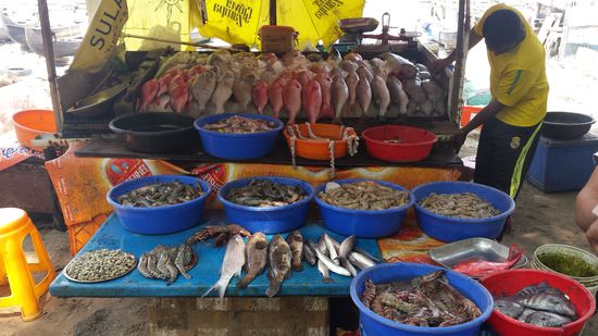 Nochmal an den Fischernetzen...