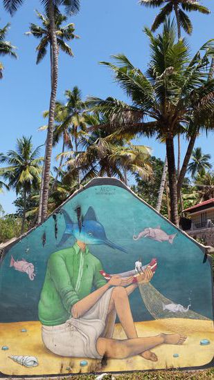 Gefunden an einer alten Fischerhütte.