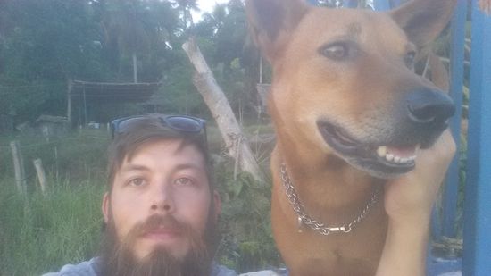 Einer der Campushunde, Baboo...