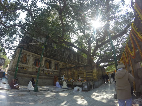Dieser Ort markiert die Stelle wo Buddha zur Erleuchtung gekommen sein soll.