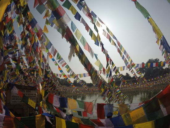 Prächtig geschmückter Teich in der Tempelanlage.