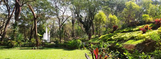 Sanjay Gandhi National Park im satten Grün.