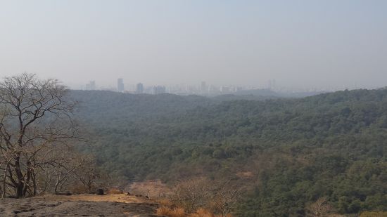 Blick auf die Skyline der Stadt.