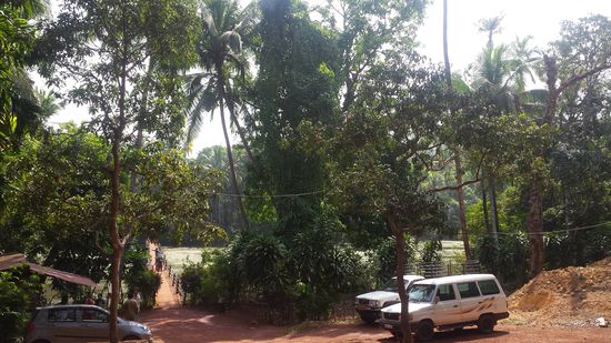 Eingang zur Gewürzplantage.