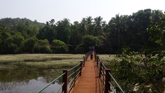 Der Weg führte über diese Art Brücke...