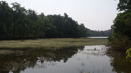 links und rechts davon, war diese Landschaft zu sehen.