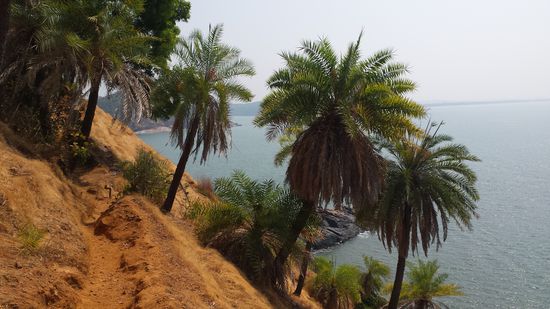 Trailstück auf dem Weg zum Half Moon bzw. Paradies Beach.