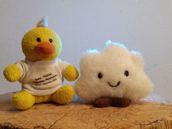 Kevin bleibt allein zu Haus und Kapmatiti freut sich auf die Reise