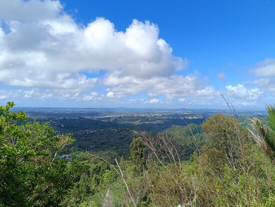 Blick auf Auckland