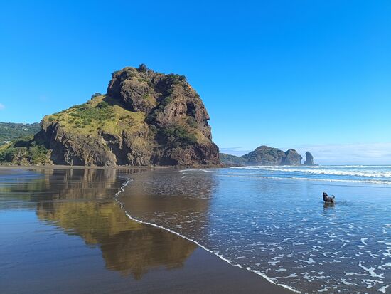 Lion Rock mit Seehund