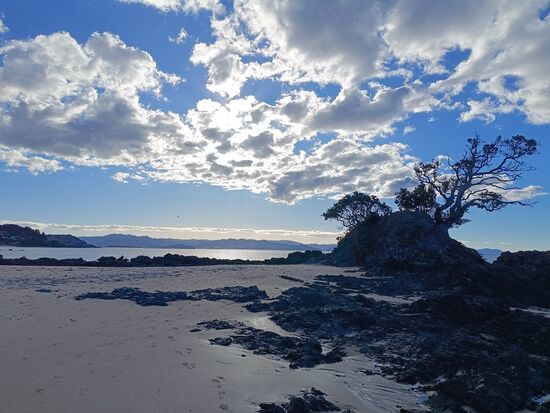 Der Strand von Kuaotunu am späten Nachmittag