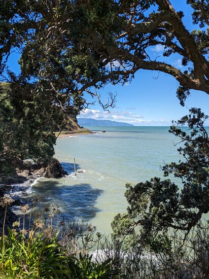 Die Küstenstraße der Coromandel Westküste