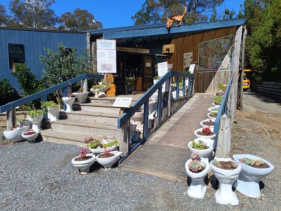 Der Eingangsbereich ist schön bepflanzt