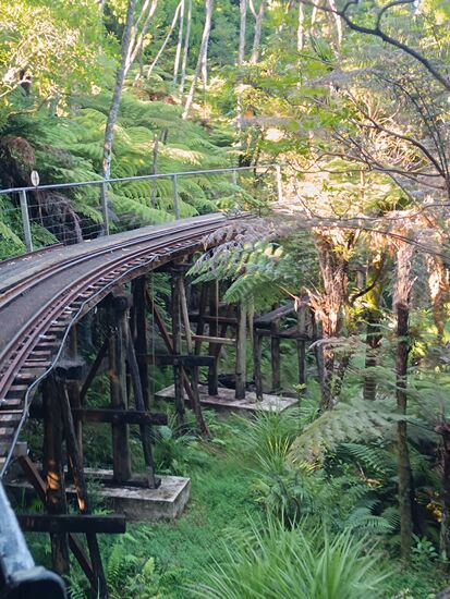 Mit der Dschungelbahn nach oben