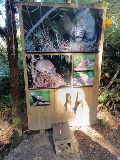 Eine anschauliche Erklärung