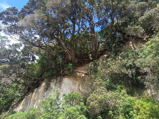 Nur nicht den Halt verlieren