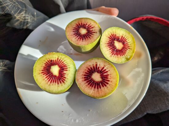 Nicht groß aber dafür rot