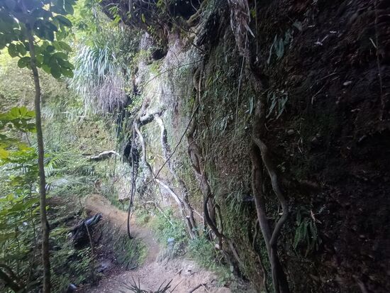 Die Glowworm-Wand bei Tag, absolut unspektakulär