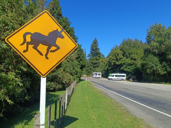 Uns ist leider keins vor das Auto gelaufen