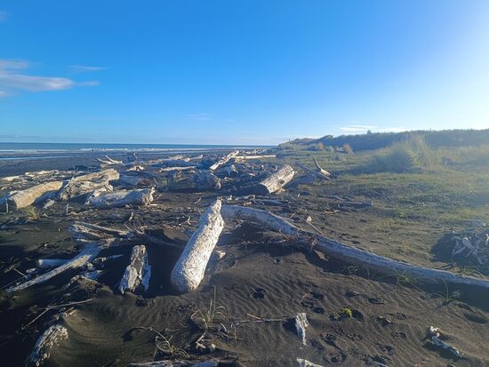 Der schwarze Sand vom Waiinu Beach