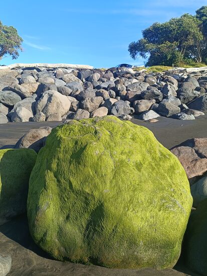 Der will mit den monochromen Steinen nichts zu tun haben