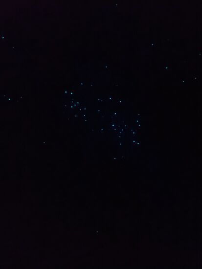 Macht Euch selbst ein Bild, das muss man live erleben