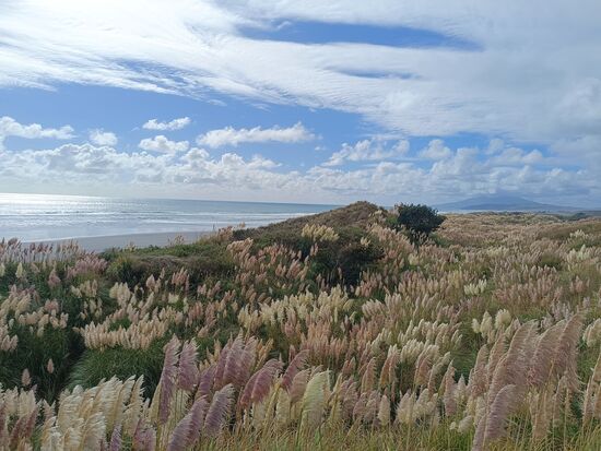 Am Strand vom Hot Water Beach
