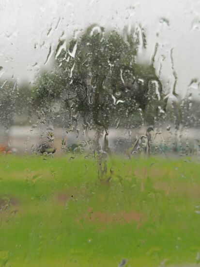 Ein verdammt trauriger Morgen