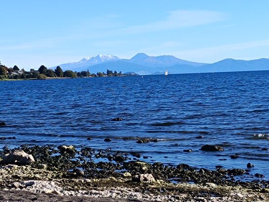 Am Lake Taupo mit Tongariro National Park im Hintergrund