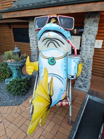 Der Motofisch vom Wochenende