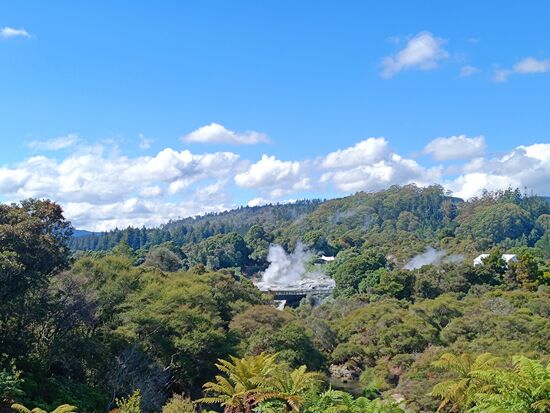 Der Pohutu Geysir vom Restaurant erspäht