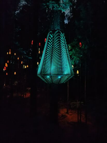 Die begehbare Laterne im Redwood Treewalk