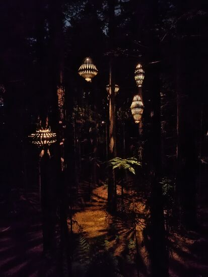 Eine fantastische Stimmung im Wald