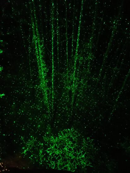 Willkommen in der Matrix